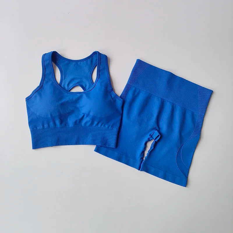 2 PCS Women's Seamless gym Set