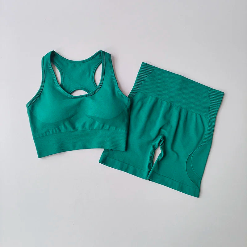 2 PCS Women's Seamless gym Set